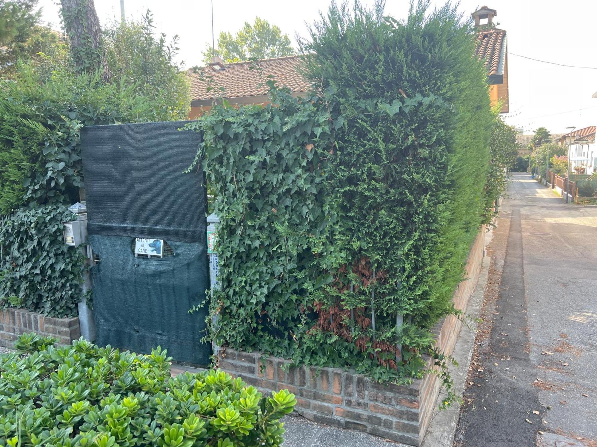 라벤나 Cozy House Giulia, Wi - Fi , Parking 아파트 외부 사진